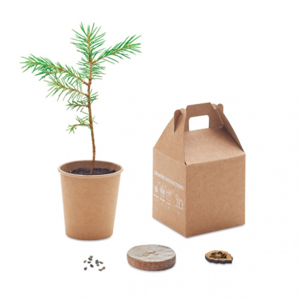 Set personalizzato con semi di pino